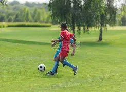 年亚冬会赛,事安排揭晓,首金争夺战,问鼎娱乐,问鼎娱乐平台,问鼎娱乐官网